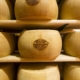 Parmigiano Reggiano